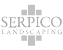 serpico icon