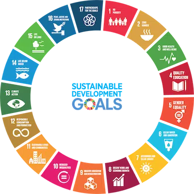 UN Sustainable Development Goals
